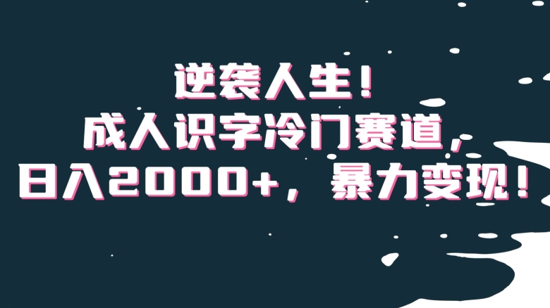 逆袭人生！成人识字冷门赛道，日入2000+，暴力变现！【揭秘】| 网创圈
