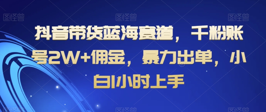 抖音带货蓝海赛道，千粉账号2W+佣金，暴力出单，小白1小时上手【揭秘】| 网创圈