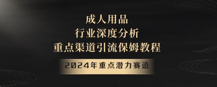 2024年重点潜力赛道，成人用品行业深度分析，重点渠道引流保姆教程【揭秘】| 网创圈