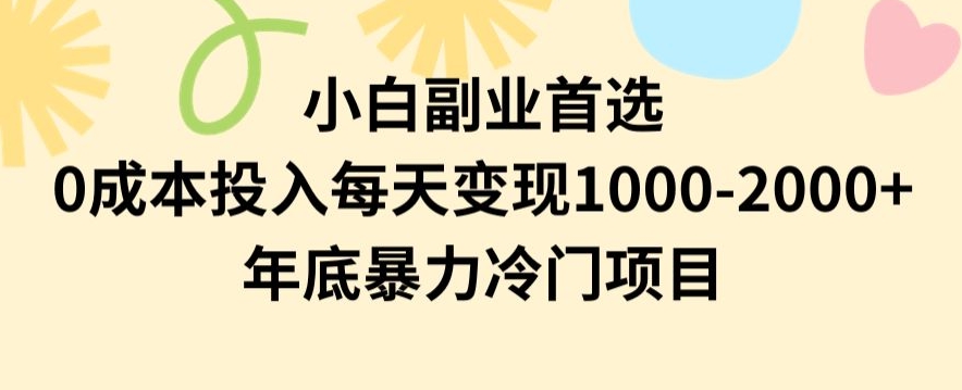 小白副业首选，0成本投入，每天变现1000-2000年底暴力冷门项目【揭秘】| 网创圈