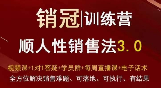 爆款！销冠训练营3.0之顺人性销售法，全方位解决销售难题、可落地、可执行、有结果| 网创圈