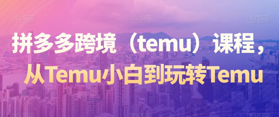 拼多多跨境（temu）课程，从Temu小白到玩转Temu| 网创圈