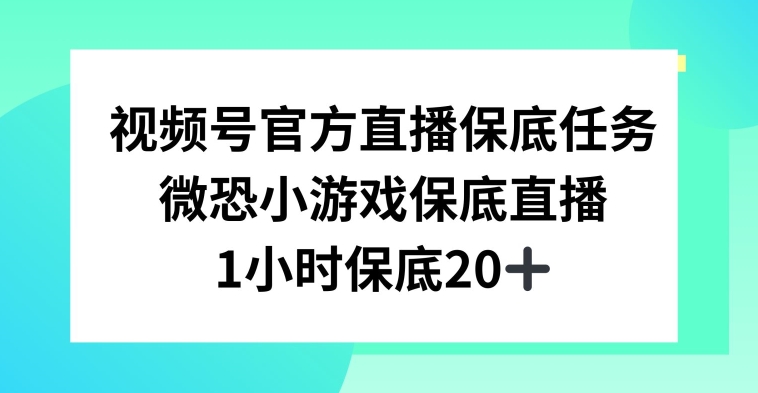 视频号直播任务，微恐小游戏，1小时20+| 网创圈