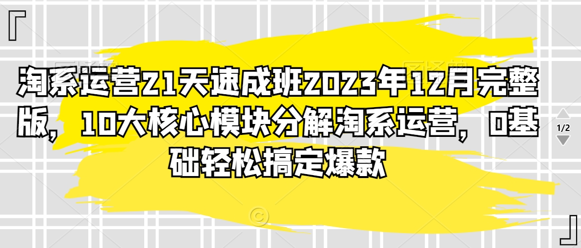 淘系运营21天速成班2023年12月完整版，10大核心模块分解淘系运营，0基础轻松搞定爆款| 网创圈