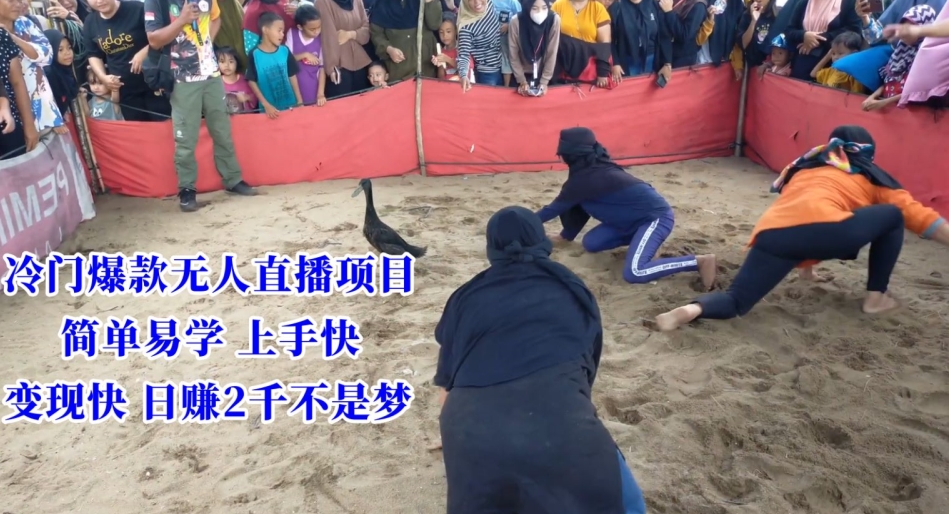 冷门爆款无人直播项目，简单易学上手快，变现快日赚2千不是梦| 网创圈