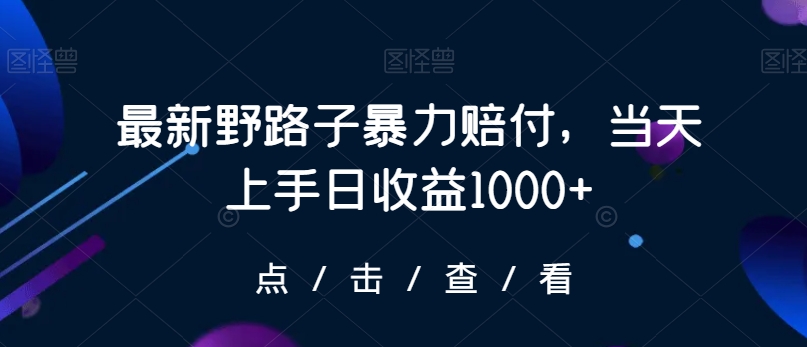 最新野路子暴力赔付，当天上手日收益1000+【仅揭秘】| 网创圈