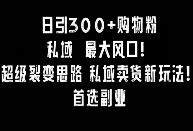 日引300+购物粉，超级裂变思路，私域卖货新玩法，小红书首选副业| 网创圈