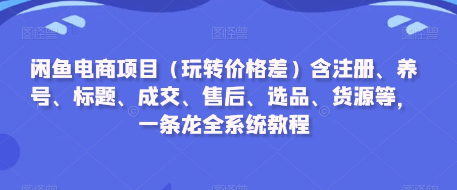 闲鱼电商项目（玩转价格差）含注册、养号、标题、成交、售后、选品、货源等，一条龙全系统教程| 网创圈