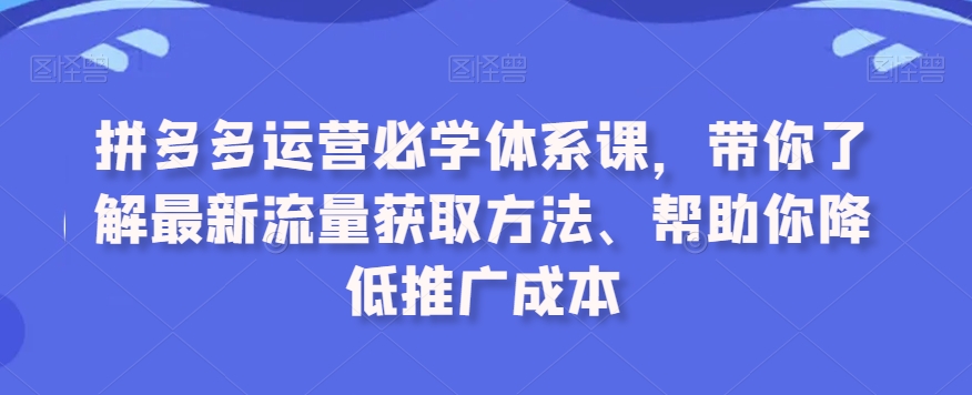 拼多多运营必学体系课，带你了解最新流量获取方法、帮助你降低推广成本| 网创圈