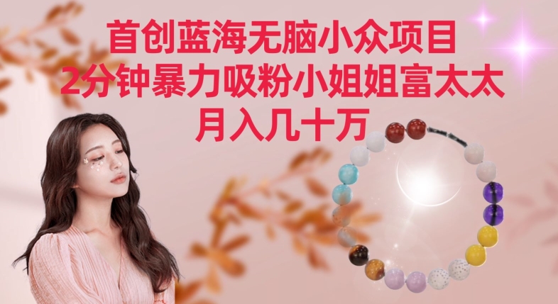 首创蓝海无脑小众项目，2分钟暴力吸粉小姐姐富太太，月入几十万| 网创圈