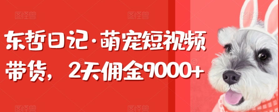 东哲日记·萌宠短视频带货，2天佣金9000+| 网创圈