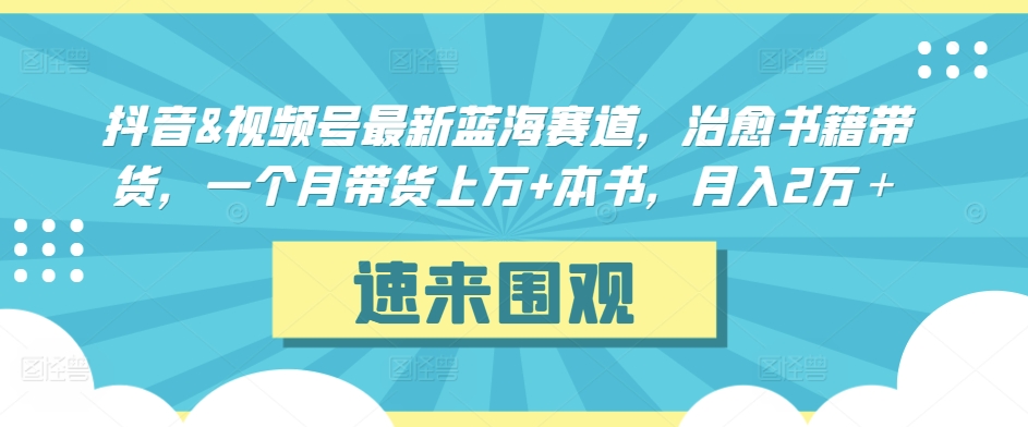 抖音&视频号最新蓝海赛道，治愈书籍带货，一个月带货上万+本书，月入2万＋| 网创圈