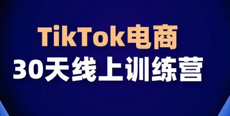 TikTok电商带货30天线上课，不可错过的全球流量洼地！| 网创圈