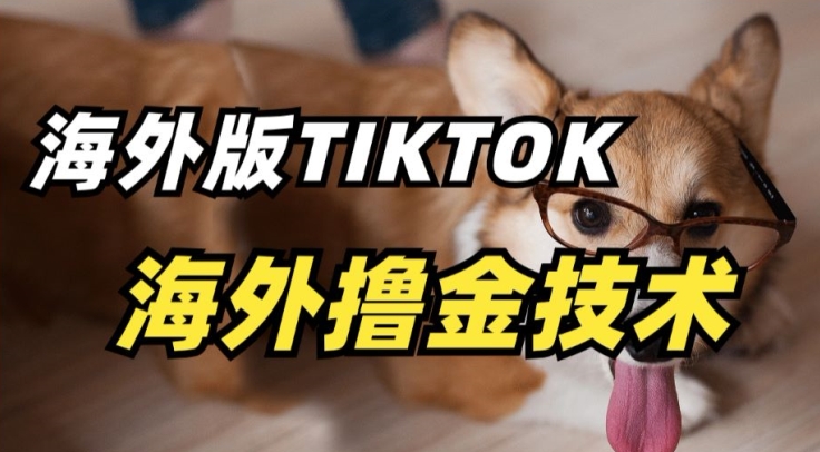 抖音海外版tiktok撸金技术，这个风口行业，赚钱真的不难| 网创圈