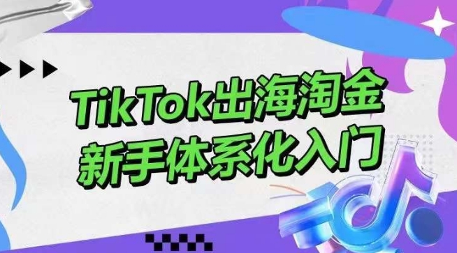 TikTok出海淘金，新手体系化入门，零基础快速入门，掌握短视频、直播带货等引流到变现的知识| 网创圈