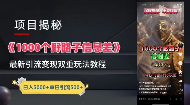 一千个野路子信息差最新玩法教程-变现+引流的玩法具体拆解| 网创圈