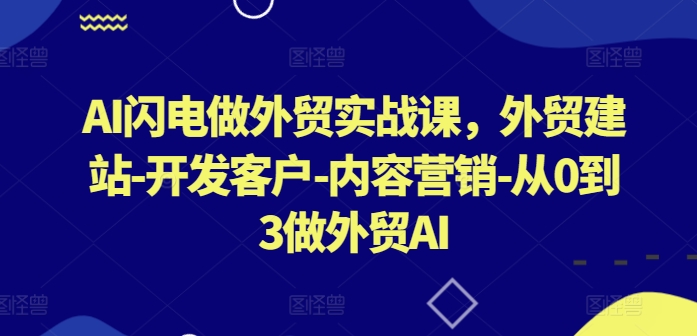 AI闪电做外贸实战课，​外贸建站-开发客户-内容营销-从0到3做外贸AI| 网创圈