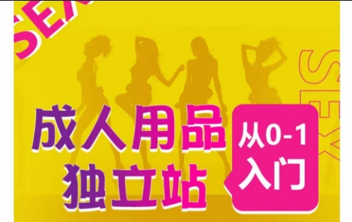 成人用品独立站从0-1入门，成品独立站运营全流程教学，七大好卖成品独立站推荐| 网创圈