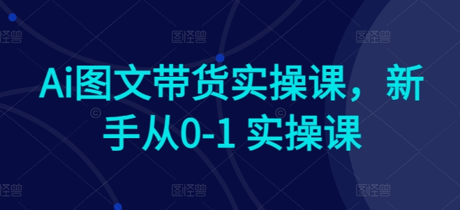 Ai图文带货实操课，新手从0-1 实操课| 网创圈