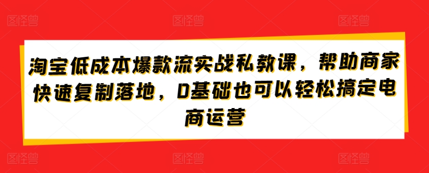 淘宝低成本爆款流实战私教课，帮助商家快速复制落地，0基础也可以轻松搞定电商运营| 网创圈