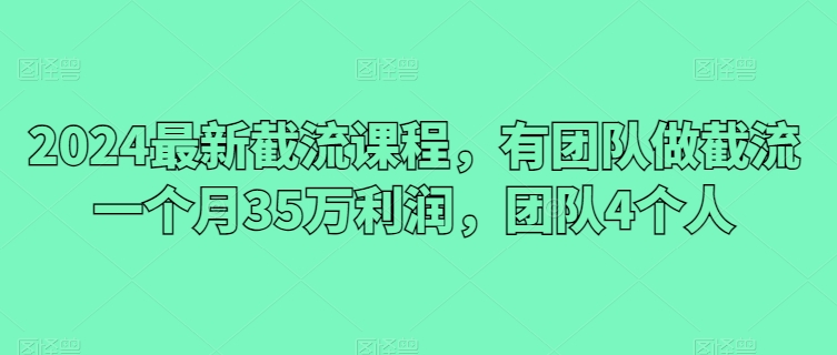 2024最新截流课程，有团队做截流一个月35万利润，团队4个人| 网创圈