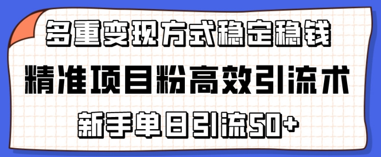 精准项目粉高效引流术，新手单日引流50+，多重变现方式稳定赚钱| 网创圈