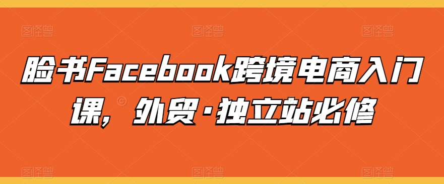 脸书Facebook跨境电商入门课，外贸·独立站必修| 网创圈