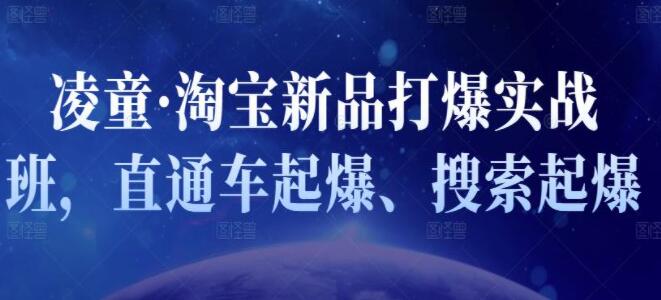 凌童《新品打爆实战班》,一套完整的实操实战落地方法，打爆链接超2000+（28节课)| 网创圈