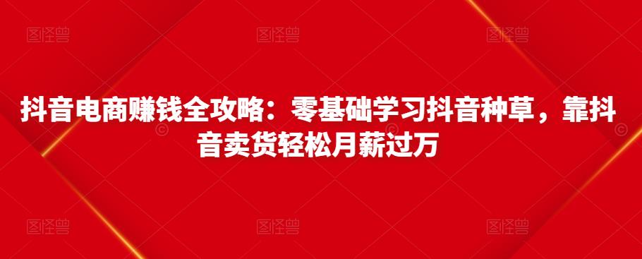抖音电商赚钱全攻略：零基础学习抖音种草，靠抖音卖货轻松月薪过万| 网创圈