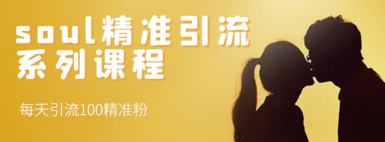 soul精准引流系列课程，每天引流100精准粉| 网创圈