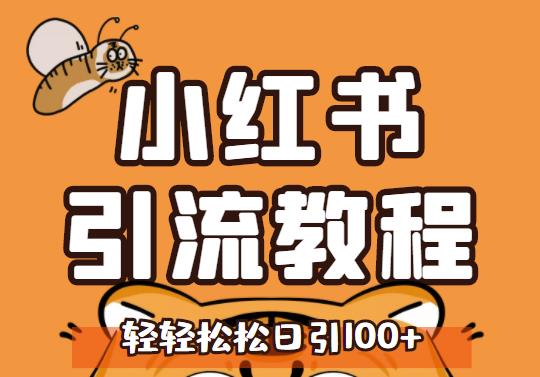 小红书运营引流全系列课程，每天引流100精准粉| 网创圈