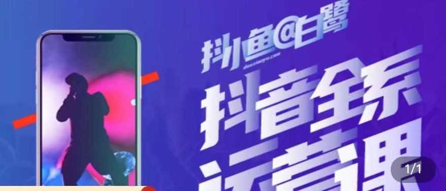 白鹭·主播内训营，运营主播话术起号进阶能力提升| 网创圈