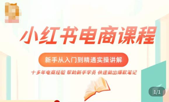 小红书电商新手入门到精通实操课，从入门到精通做爆款笔记，开店运营| 网创圈