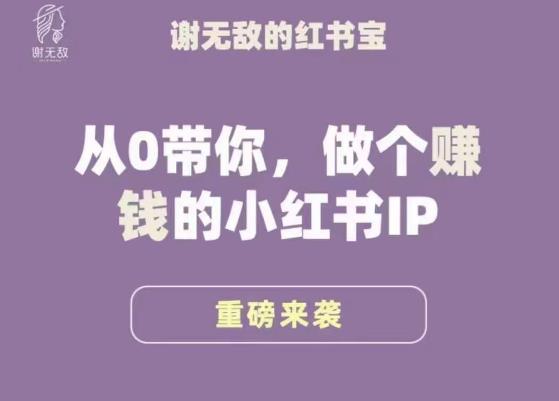 谢无敌·小红书运营大宝典，从0带你做个赚钱的小红书IP| 网创圈