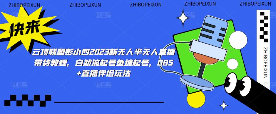 云顶联盟彭小四2023新无人半无人直播带货教程，自然流起号鱼塘起号，OBS+直播伴侣玩法| 网创圈