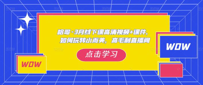 哈哥·3月线下实操课高清视频+课件，如何玩转小而美，高毛利直播间| 网创圈