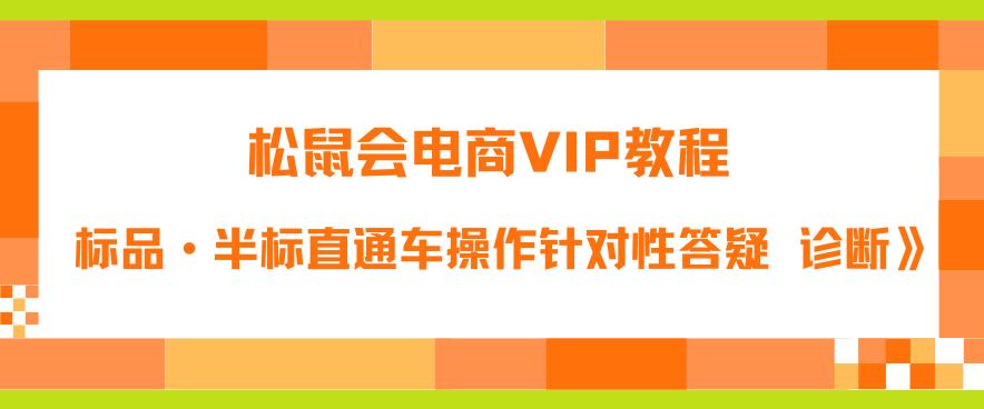 松鼠会电商VIP教程：松鼠《付费推广标品·半标直通车操作针对性答疑&诊断》| 网创圈