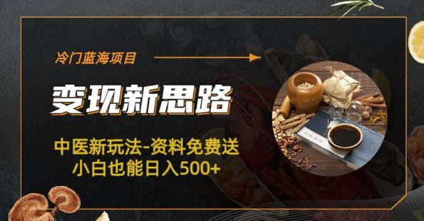 冷门蓝海项目-中医新玩法-资料免费送小白也能日入500+【揭秘】| 网创圈