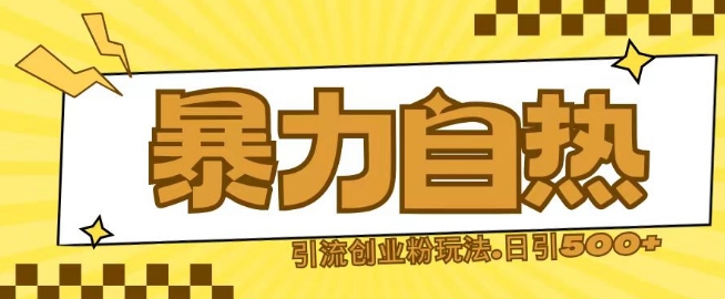 最新暴力自热引流玩法日引500+创业粉| 网创圈