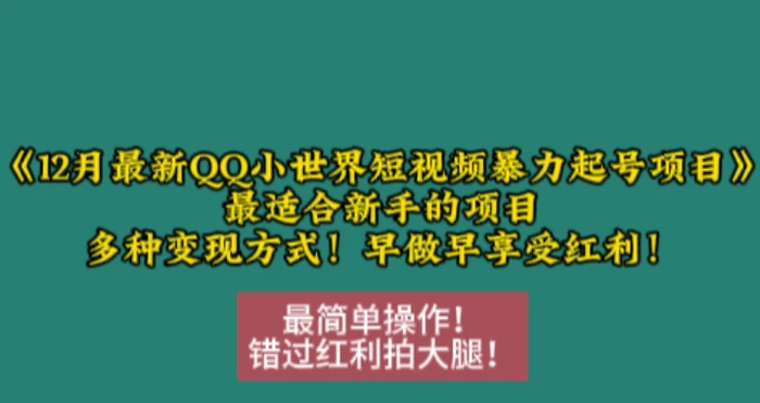 12月最新QQ小世界短视频暴力起号项目，最适合新手的项目，多种变现方式| 网创圈