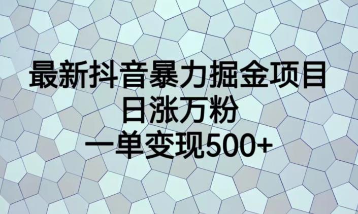 最新抖音暴力掘金项目，日涨万粉，一单变现500+【揭秘】| 网创圈