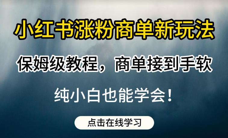 小红书涨粉商单新玩法，保姆级教程，商单接到手软，纯小白也能学会【揭秘】| 网创圈