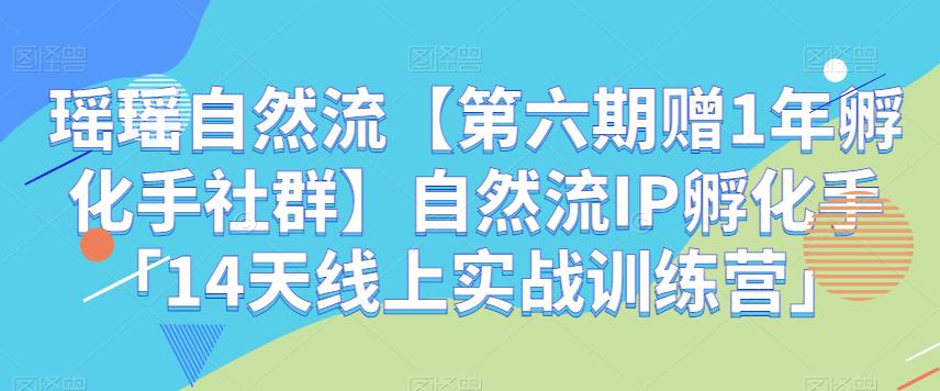 瑶瑶自然流【第六期赠1年孵化手社群】自然流IP孵化手「14天线上实战训练营」| 网创圈