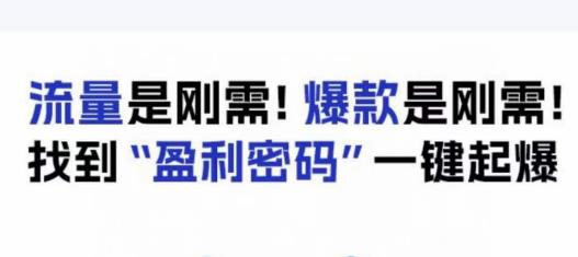 电商盈利精品课：6大盈利密码让产品更好卖，流量是刚需！爆款是刚需！找到”盈利密码”一键起爆| 网创圈