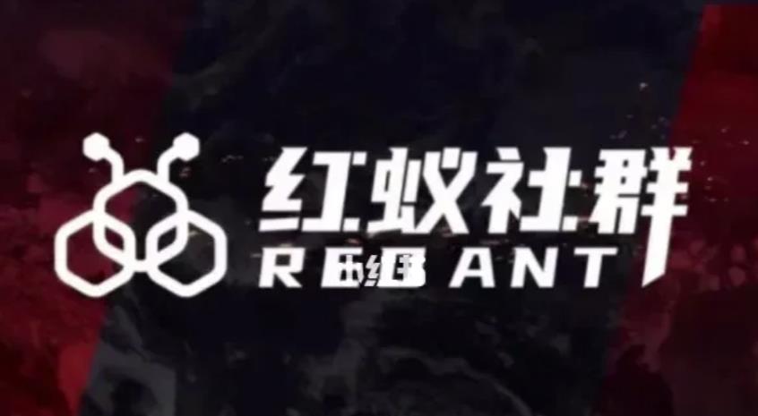 社群运营：红蚁社群【48节落地系统课程+2000人高端社群】| 网创圈