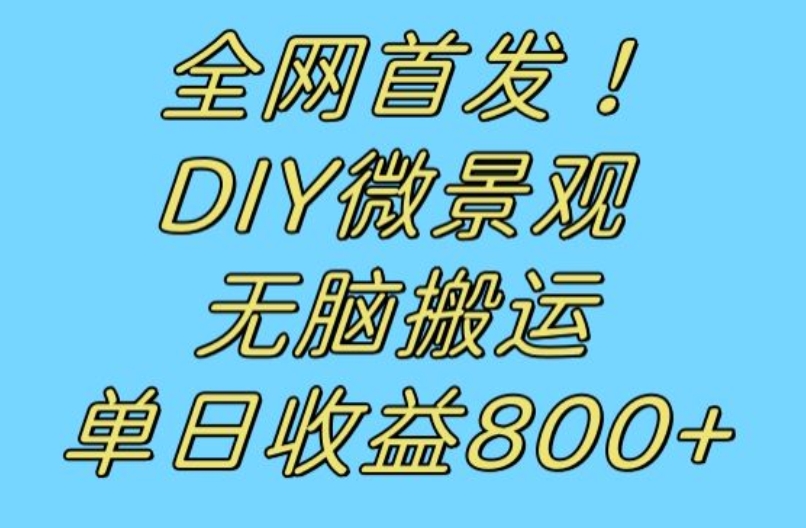 全网首发冷门赛道！DIY微景观，无脑搬运视频，日收益800+【揭秘】| 网创圈
