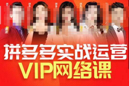 推易拼多多VIP全套直播课程，拼多多店铺实操玩法+实战玩法选款内功+直通车高阶等| 网创圈