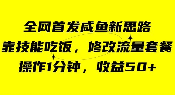 咸鱼冷门新玩法，靠“技能吃饭”，修改流量套餐，操作1分钟，收益50【揭秘】| 网创圈