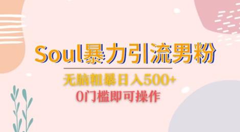 Soul暴力引流男粉玩法，无脑粗暴日入500＋，0门槛即可操作【揭秘】| 网创圈