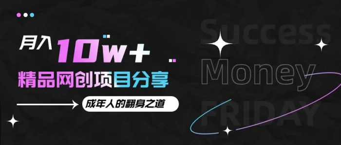 月入十万+的网创项目分享，成年人的最快翻身之道| 网创圈